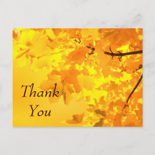 Yellow Maple Danke, Postcard Postkarte