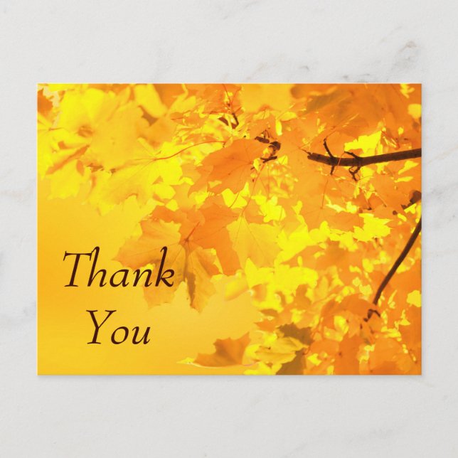 Yellow Maple Danke, Postcard Postkarte (Vorderseite)