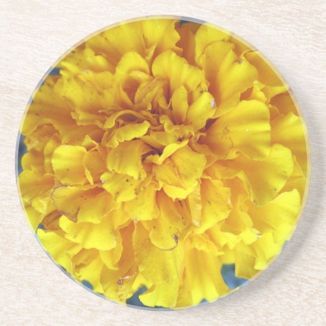 Yellow Marigold Getränkeuntersetzer (Vorne)
