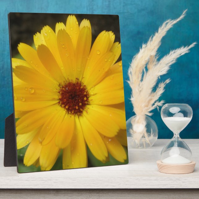 Yellow Marigold Macro Plaque Fotoplatte (Seite)