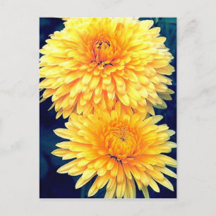 Yellow Marigold Postkarte
