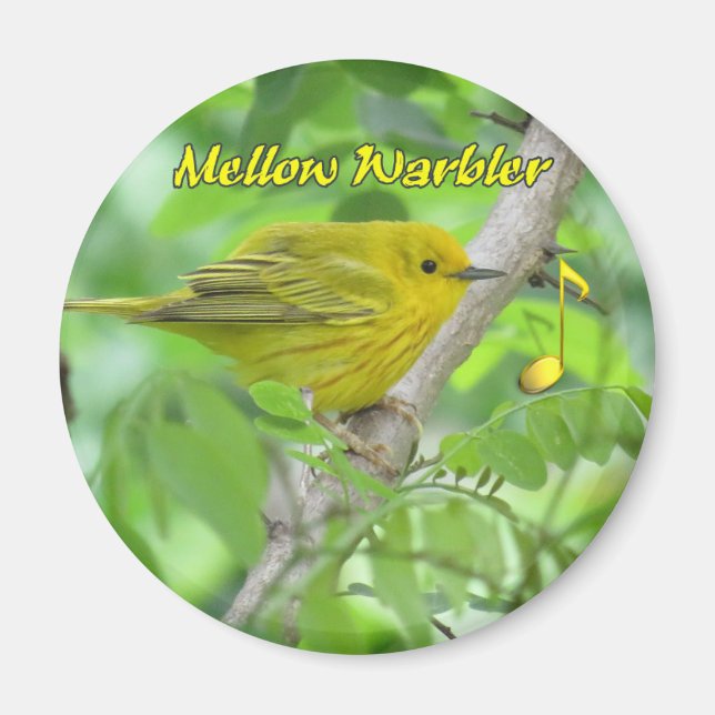 Yellow (Mellow) Magnet (Vorne)