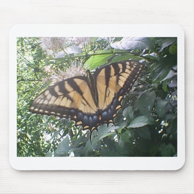 Yellow Monarch Summer Mousepad (Vorne)