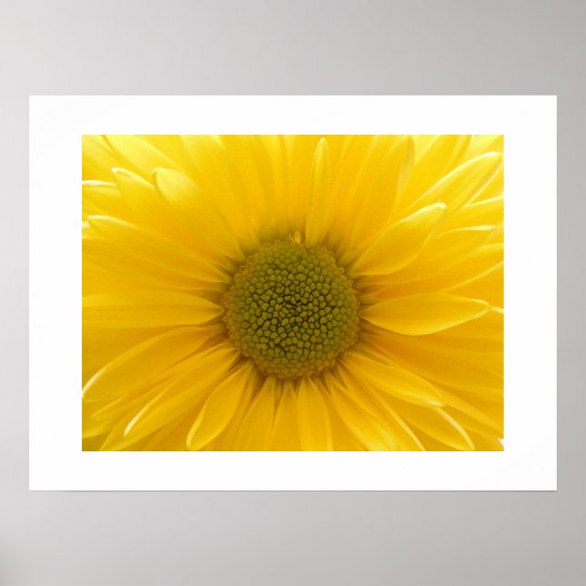 Yellow Mum Poster (Vorne)