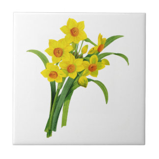 Yellow Narcissus von Pierre Joseph Redoute Fliese