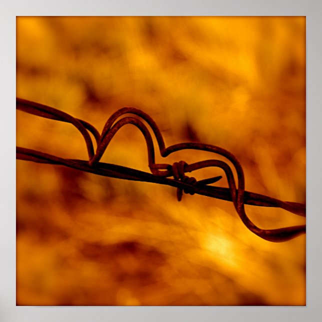 Yellow Orange Barbed Wire Fugue Poster (Vorne)