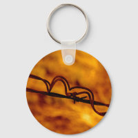 Yellow Orange Barbed Wire Fugue