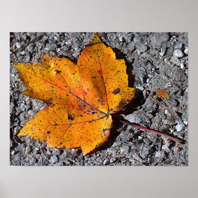 Yellow-orange Leaf Photo Poster (Vorne)