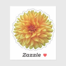 Yellow Orange Ombre Dinner Plate Dahlia Blume