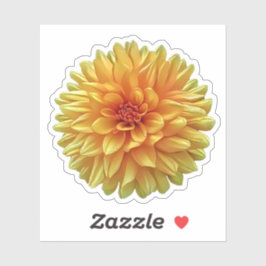 Yellow Orange Ombre Dinner Plate Dahlia Blume Aufkleber