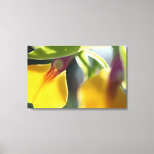 Yellow Orchid Leinwanddruck