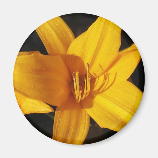 Yellow Orchid Magnet (Vorne)