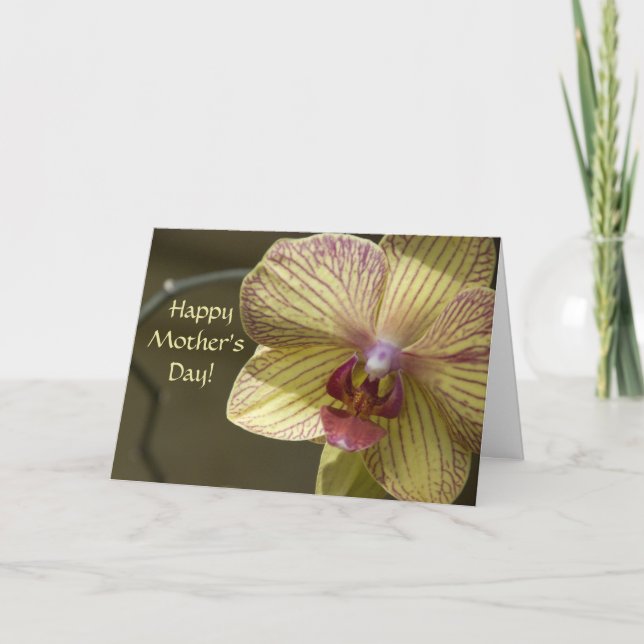 Yellow Orchid Mothers Day Karte (Vorderseite)