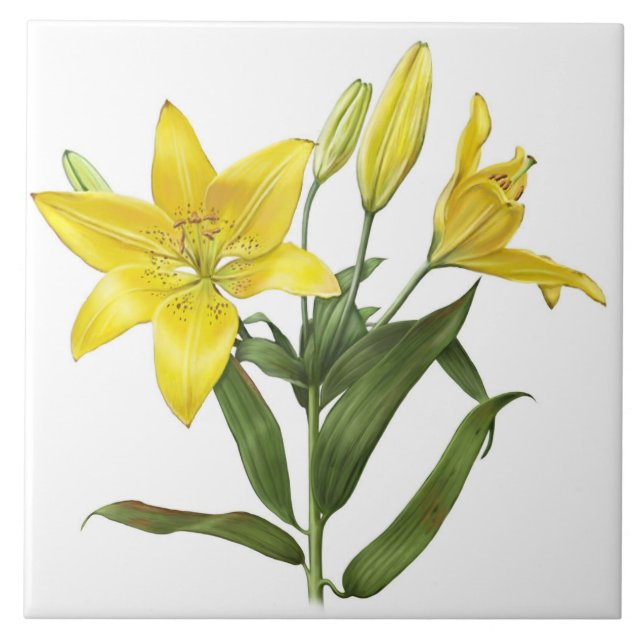 Yellow Oriental Lilie Blume Botanische Kunst Fliese (Vorderseite)