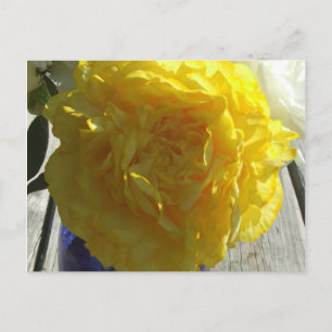 Yellow Peonies Postkarte