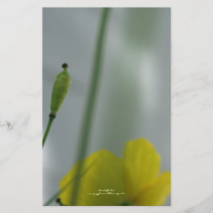 Yellow Poppies shade 12 Personalisierbare Statione Briefpapier