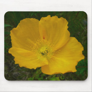 Yellow Poppy Alaskan Wildblume Floral Mousepad