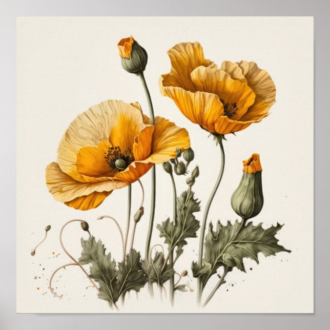 Yellow Poppy Blume Art Print Poster (Vorne)