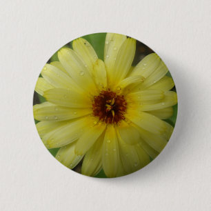 Yellow Raindrops Marigold Button