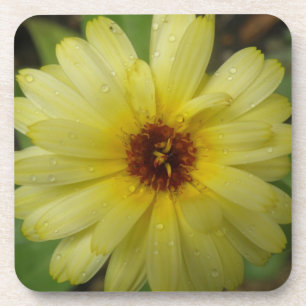 Yellow Raindrops Marigold Cork Untersetzer