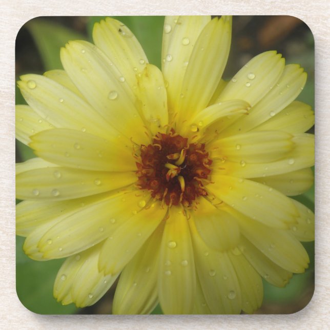 Yellow Raindrops Marigold Cork Untersetzer (Vorderseite)