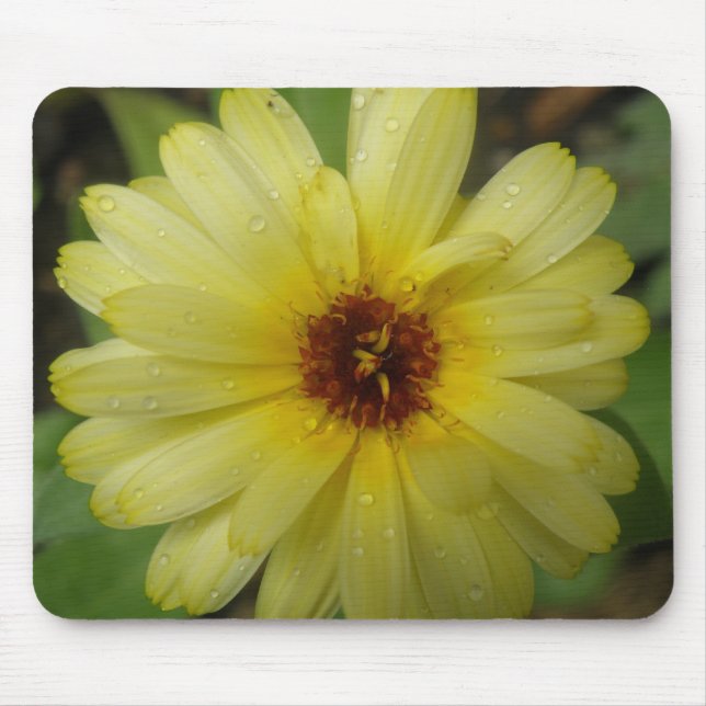 Yellow Raindrops Marigold Mousepad (Vorne)