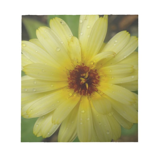 Yellow Raindrops Marigold Notepad Notizblock (Vorderseite)