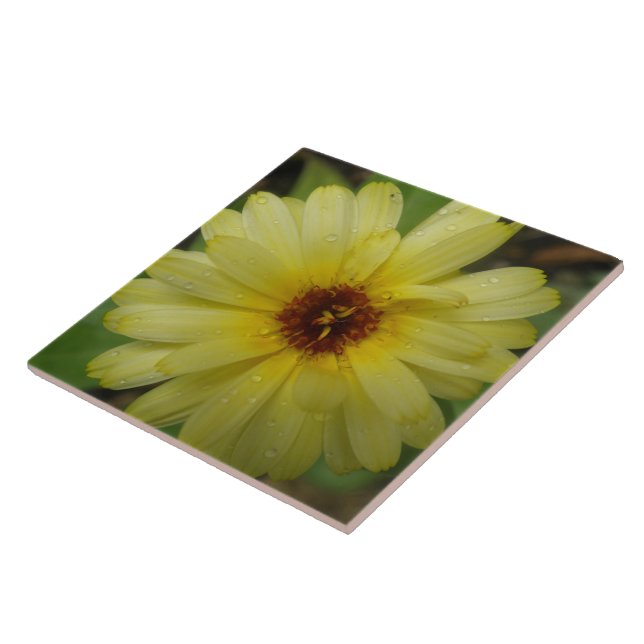 Yellow Raindrops Marigold Tile Fliese (Seite)
