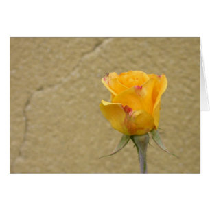Yellow Rose Bud
