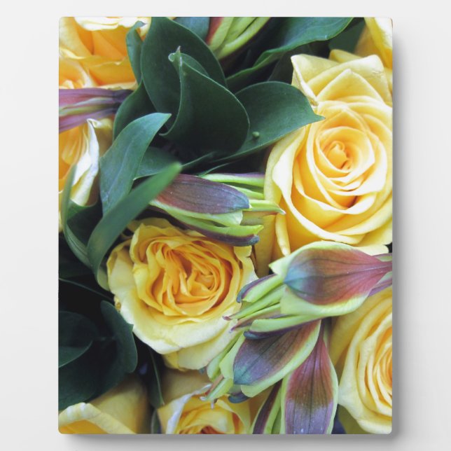 Yellow Rose Buds Fotoplatte (Vorderseite)