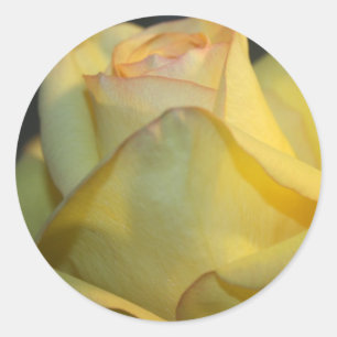 Yellow Rose Hochzeitsticker Runder Aufkleber