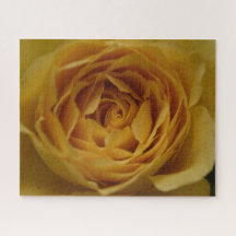 Yellow Rose Jigsaw Puzzle