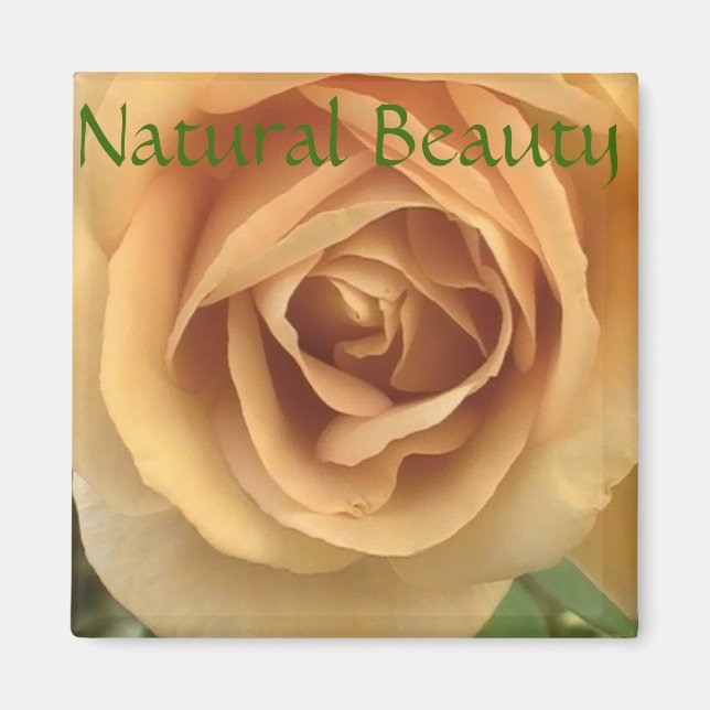 Yellow Rose Magnet (Vorne)