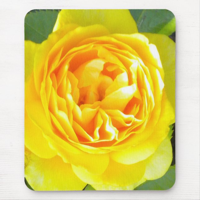 Yellow Rose Mouse pad Mousepad (Vorne)