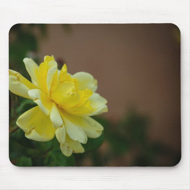 Yellow Rose Mousepad (Vorne)