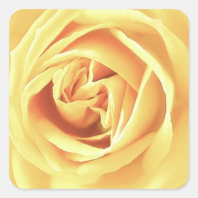 Yellow Rose Print Quadratischer Aufkleber (Vorderseite)