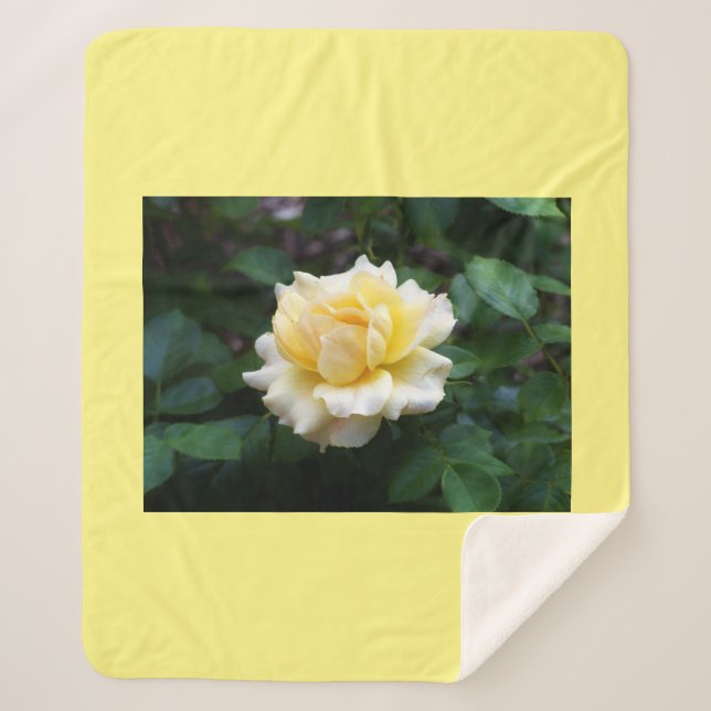 Yellow Rose Sherpa Blanket Sherpadecke (Vorderseite)