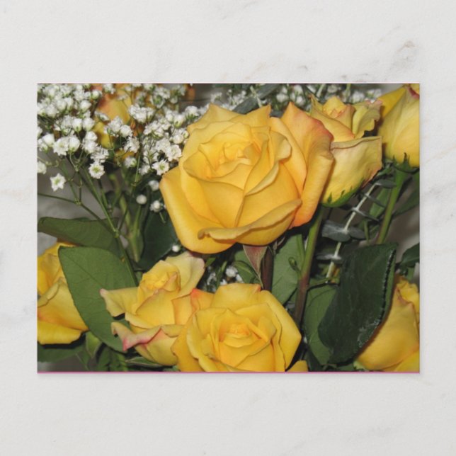 Yellow Rose Sun Postcard Postkarte (Vorderseite)