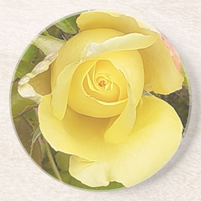 Yellow Rosenknospe Sandstone Untersetzer (Vorne)