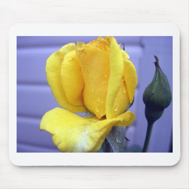 Yellow Rsoebud Mousepad (Vorne)