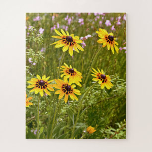 Yellow Rudbeckias
