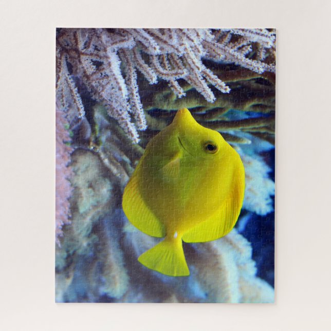 Yellow Saltwater Tang Fish (Vertikal)