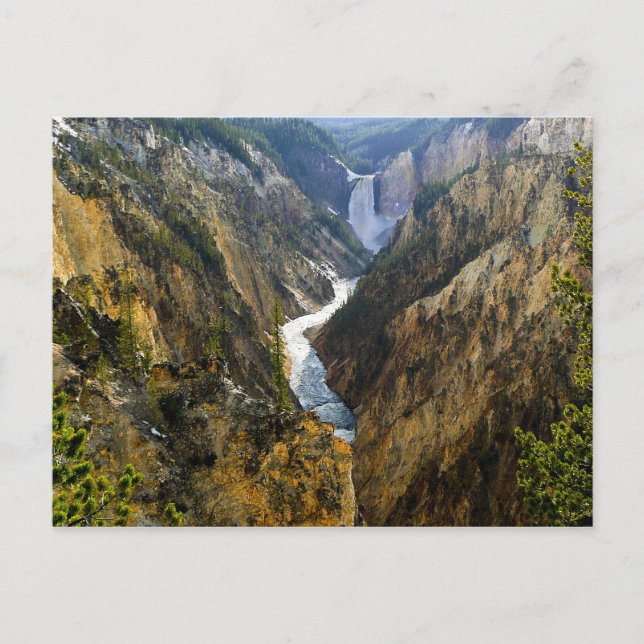 Yellow Stone Park Postcard Postkarte (Vorderseite)