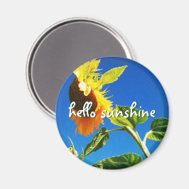 Yellow Sunflower Foto Hello Sunshine Script Bold Magnet