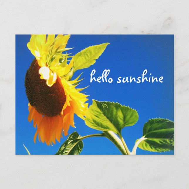 Yellow Sunflower Foto Hello Sunshine Script Bold Postkarte (Vorderseite)