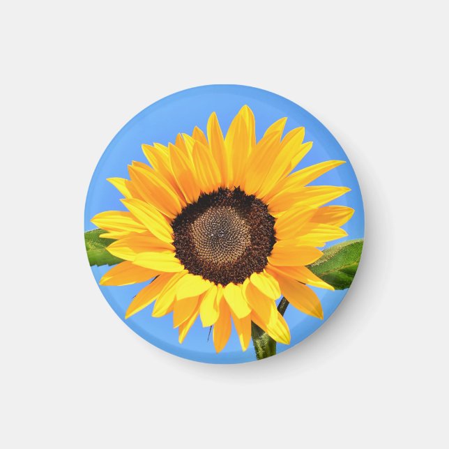 Yellow Sunflower Magnet Blue Sky (Vorne)