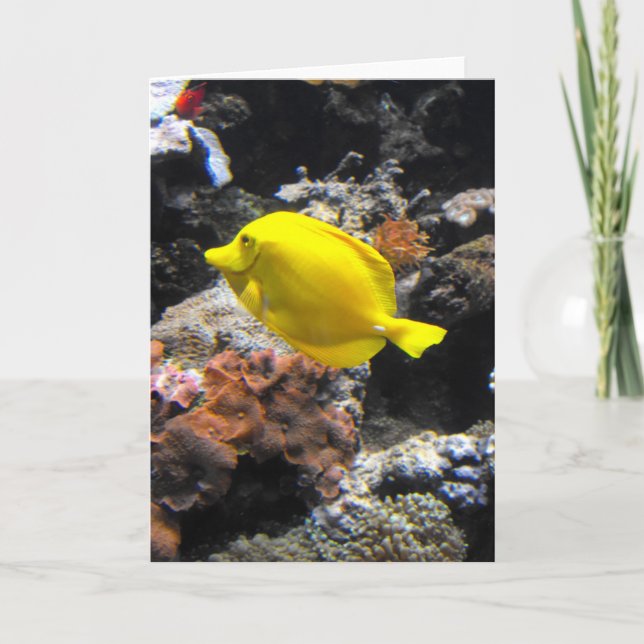 Yellow Tang Feiertagskarte (Vorderseite)