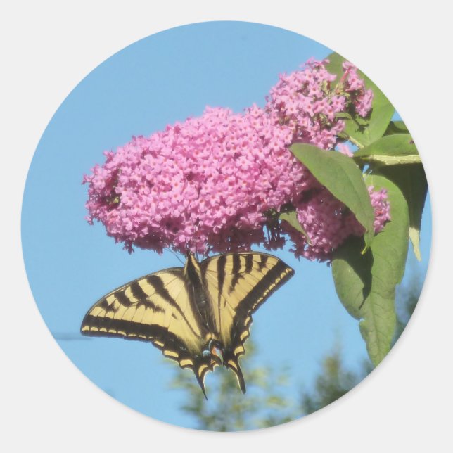 Yellow Tiger Frack auf Pink Butterfly Bush Fl Runder Aufkleber (Vorderseite)