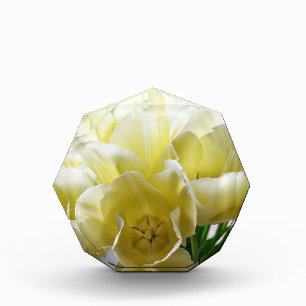 Yellow Tulip Bouquet Fotoblock
