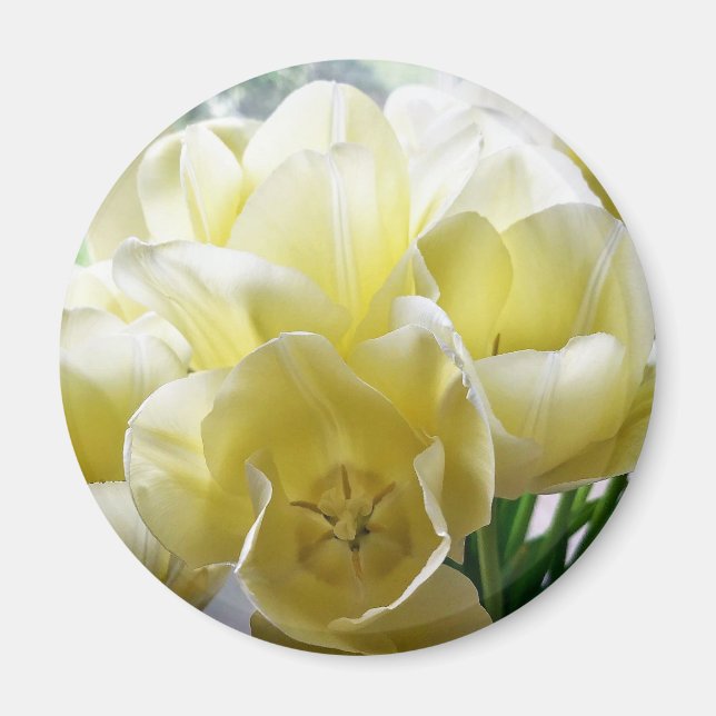 Yellow Tulip Bouquet Magnet (Vorne)